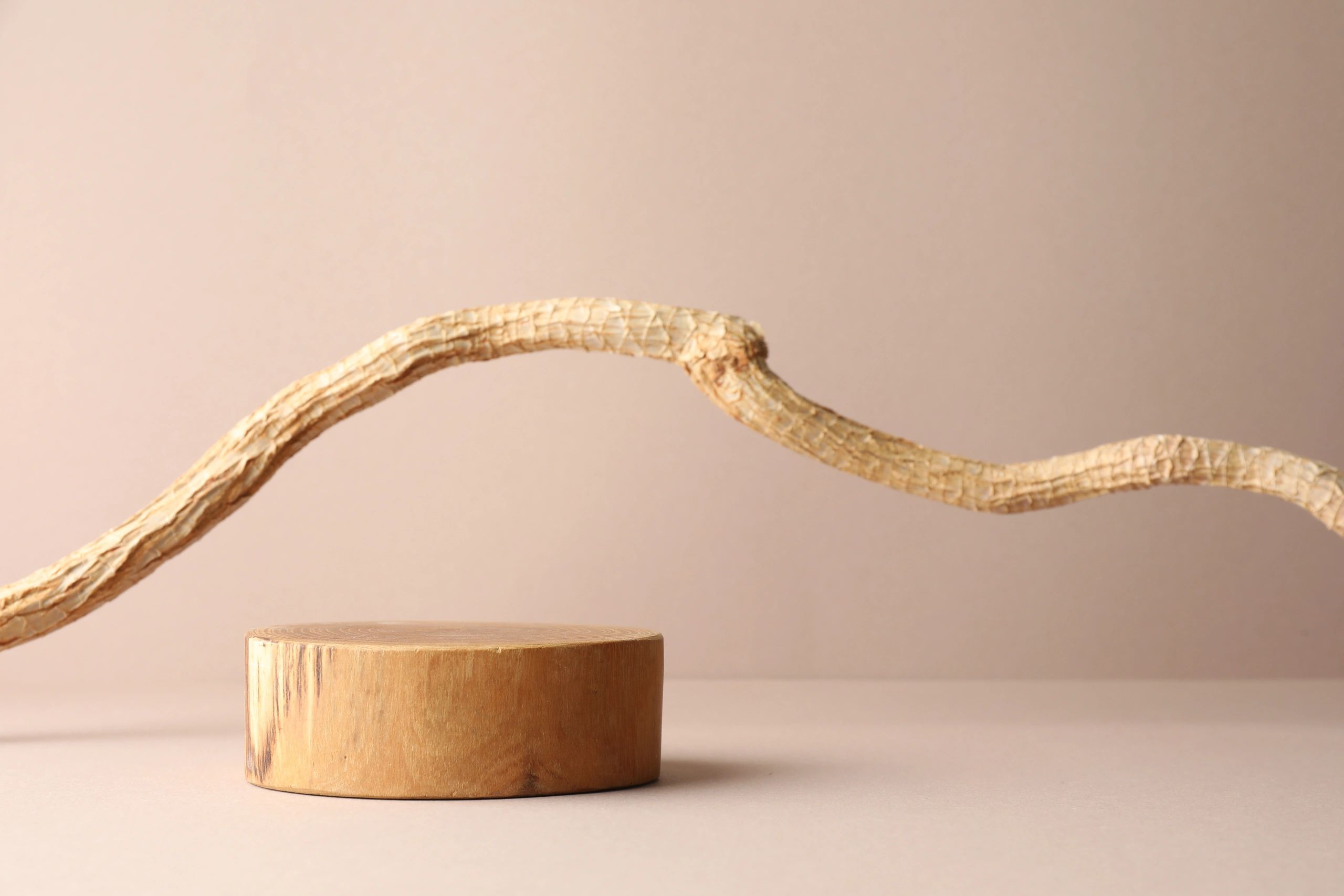 Neutral product display on a wooden podium